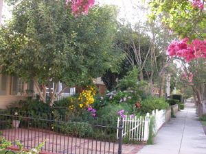 Natchez%20gardens.jpg